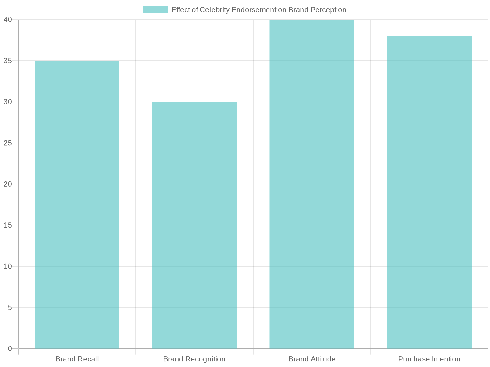 Impact of Celebrity Endorsement on Brand Perception